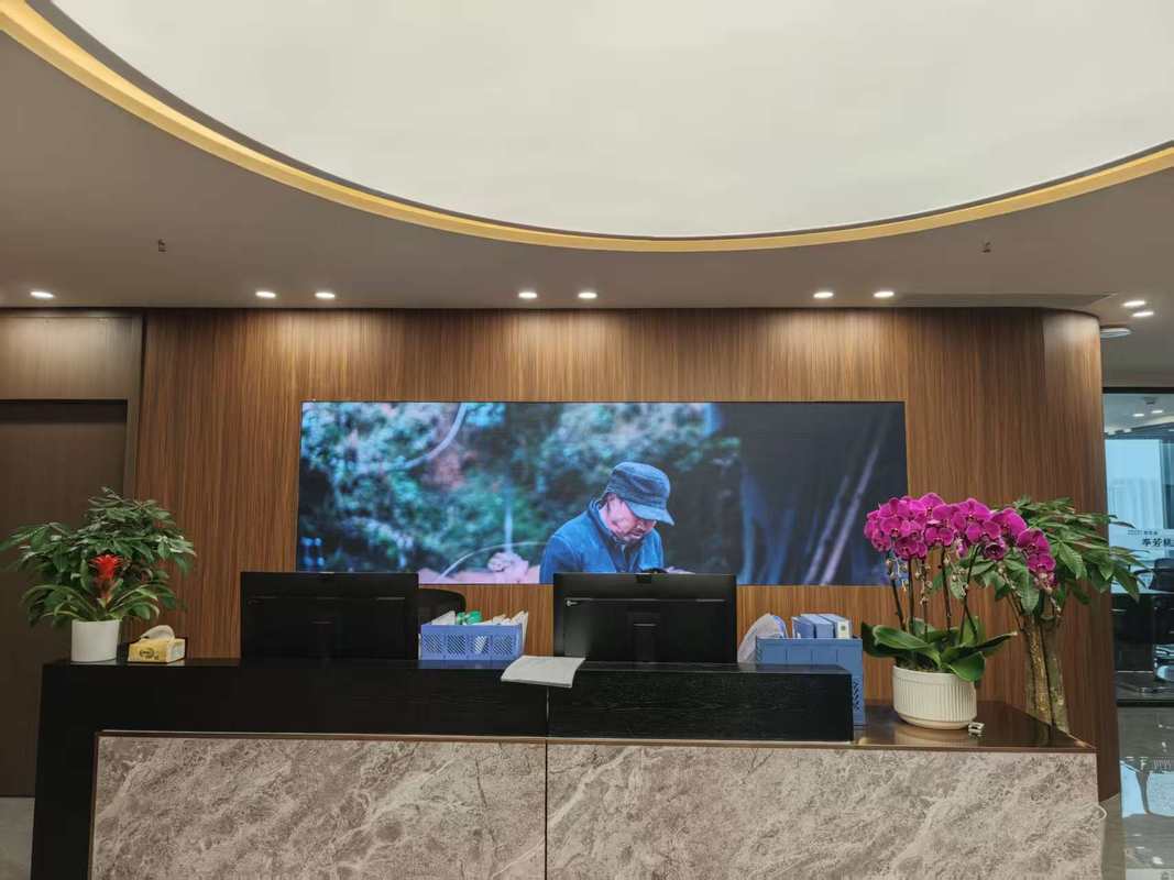 公司图片2