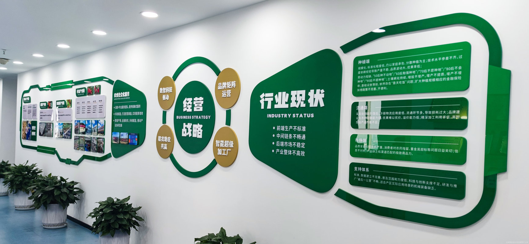 相册图片1