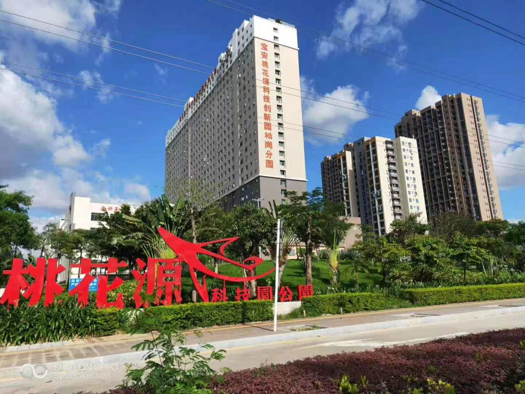 相册图片1