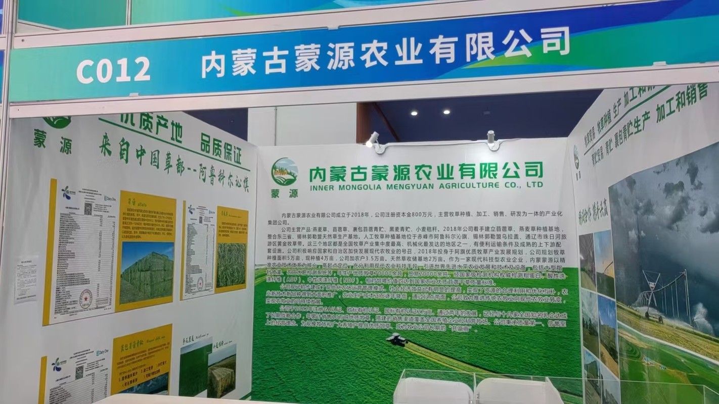 相册图片2