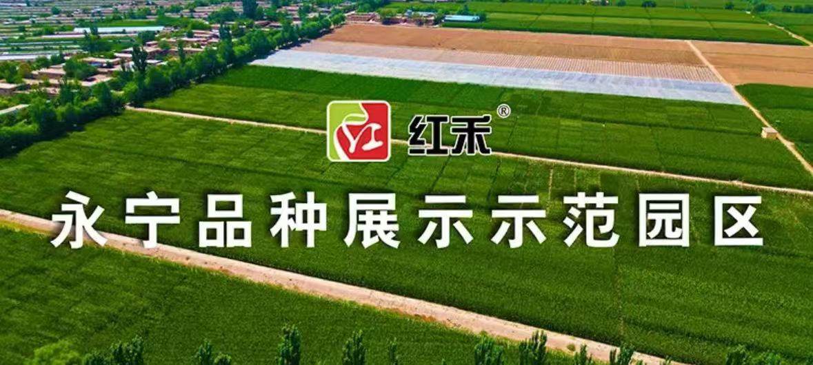 公司图片7