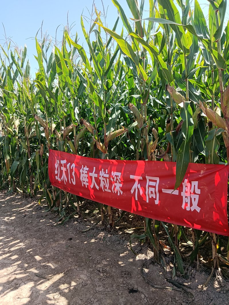 公司图片8