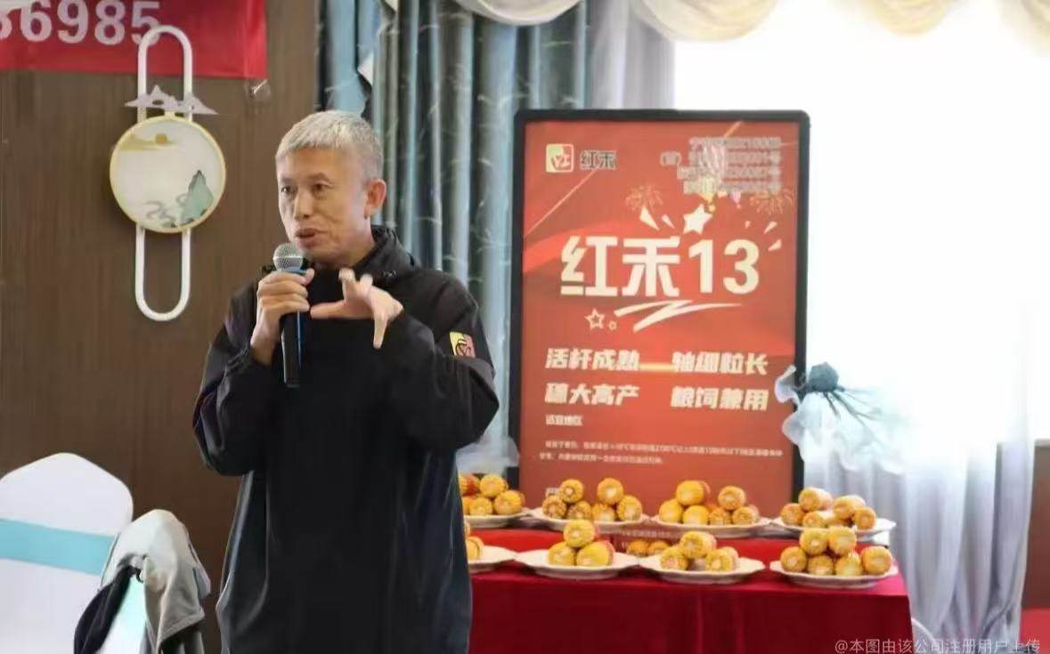 公司图片9
