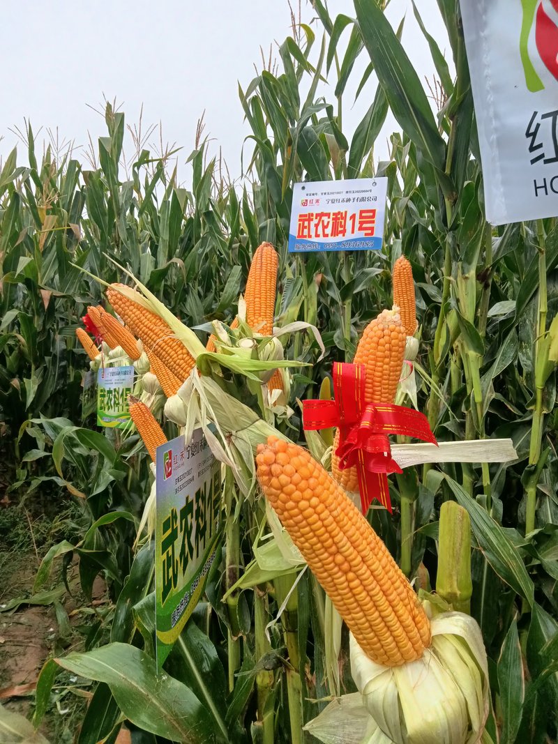 公司图片10
