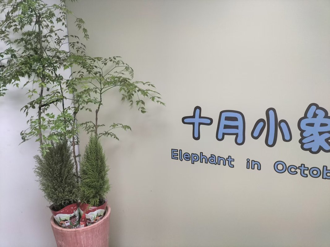 相册图片1