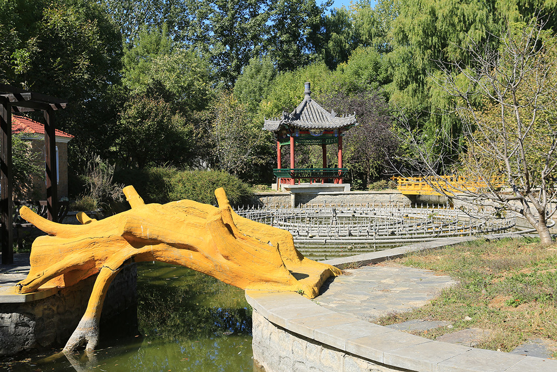 相册图片3