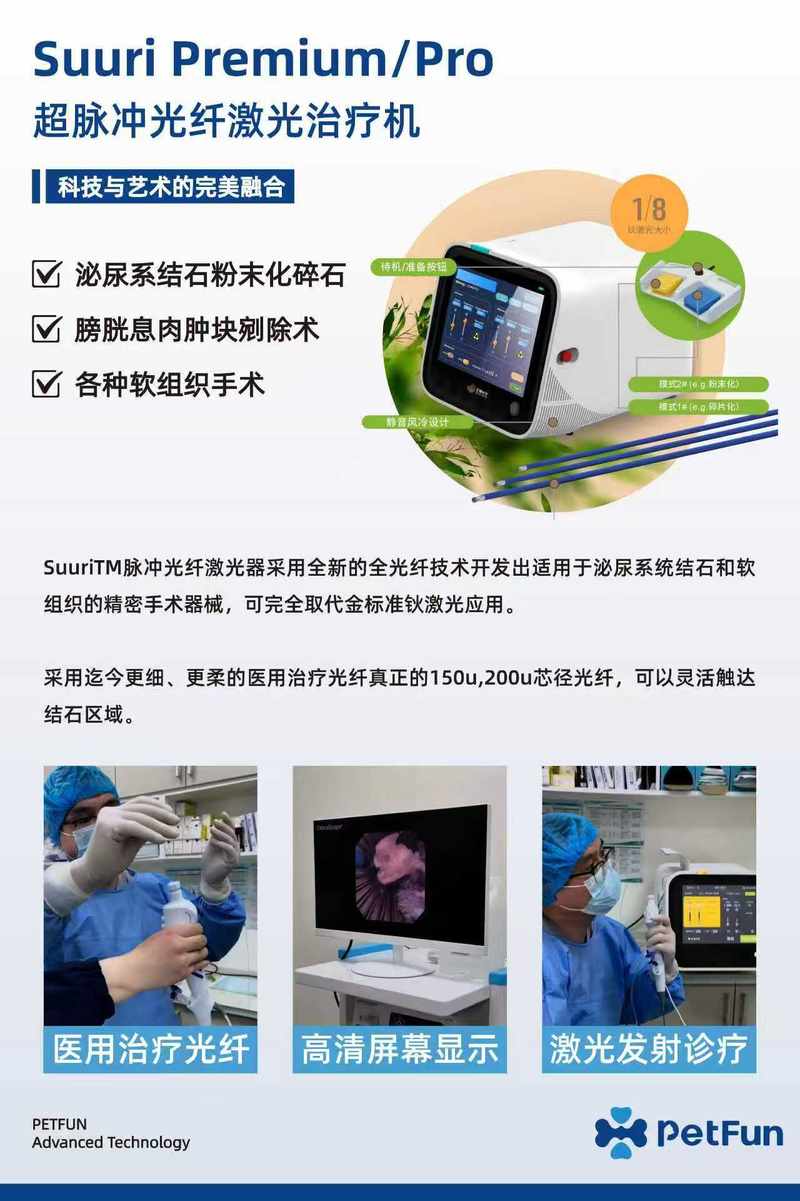 公司图片7
