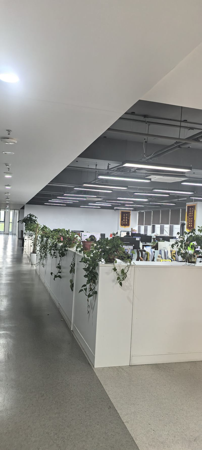 公司图片4