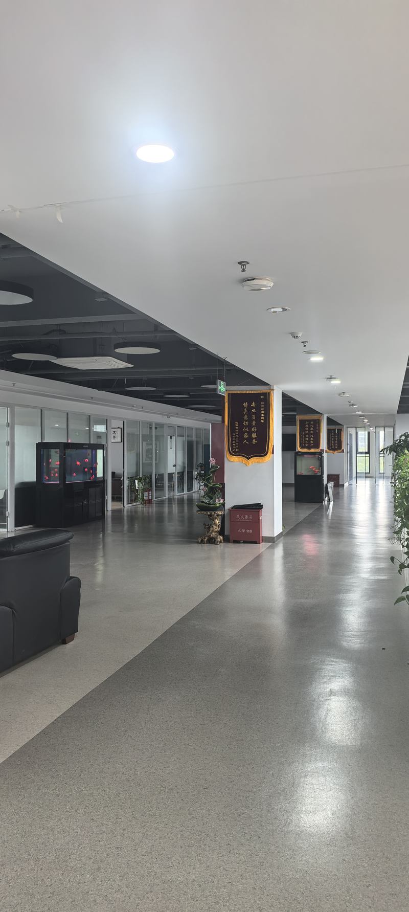 公司图片5