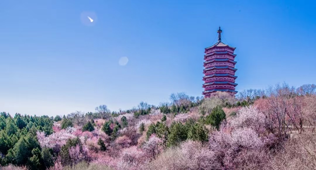 相册图片1