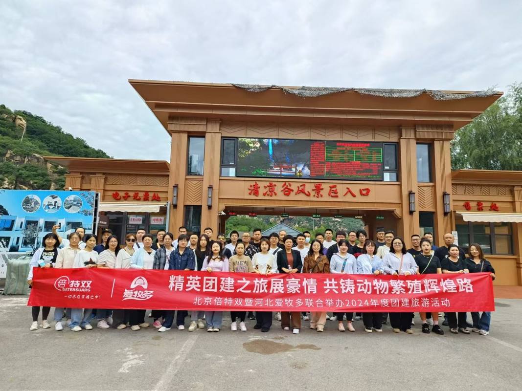 相册图片4