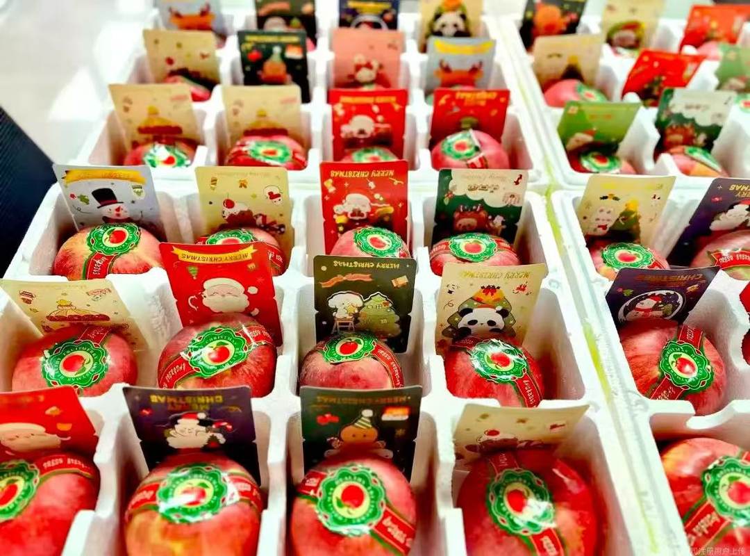 相册图片4