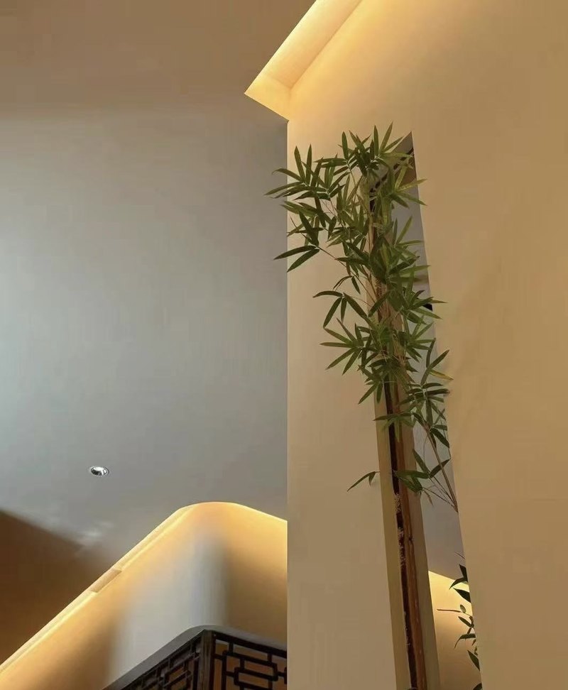 相册图片5