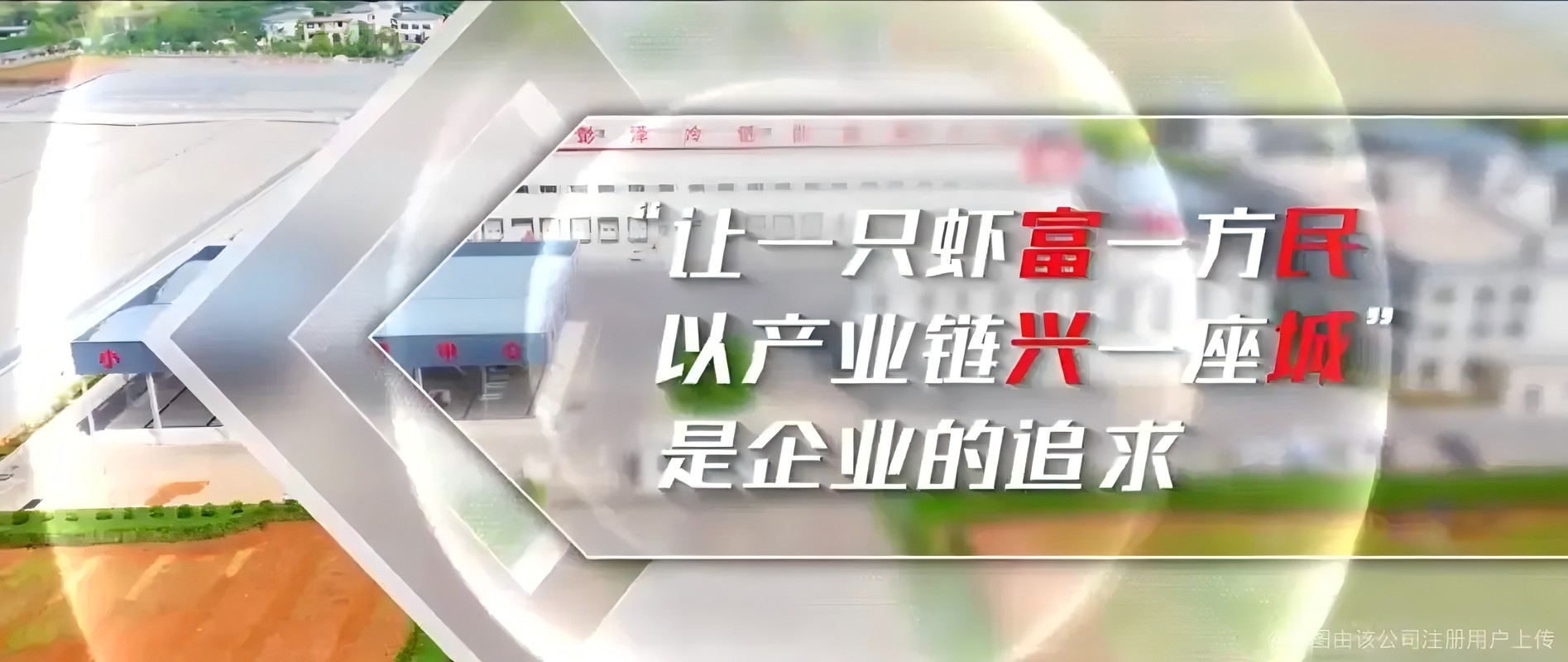 相册图片4