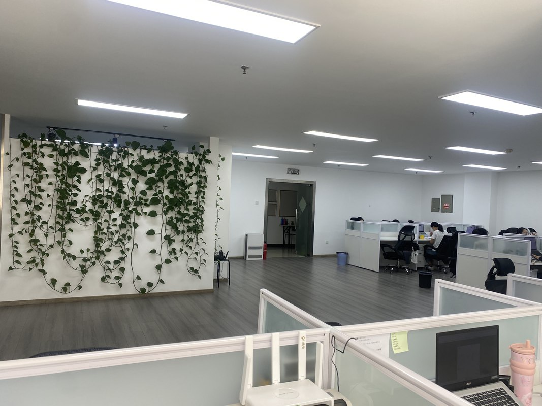 相册图片1