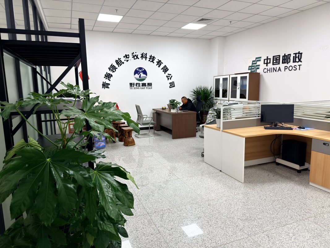 相册图片1