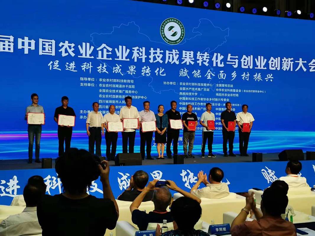 相册图片10