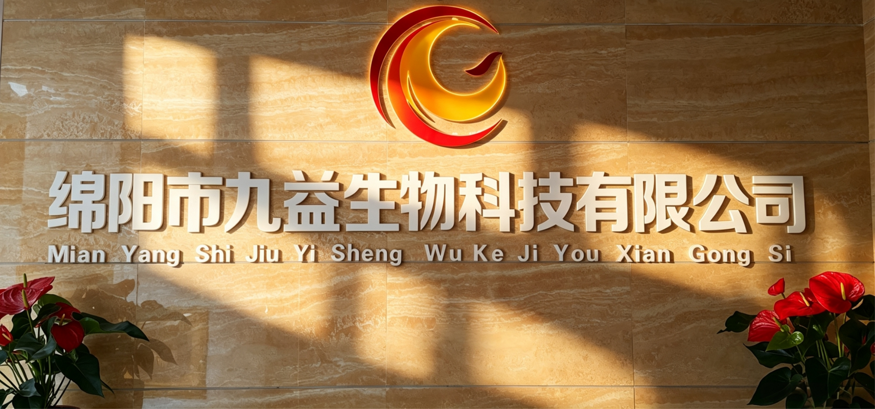 相册图片8