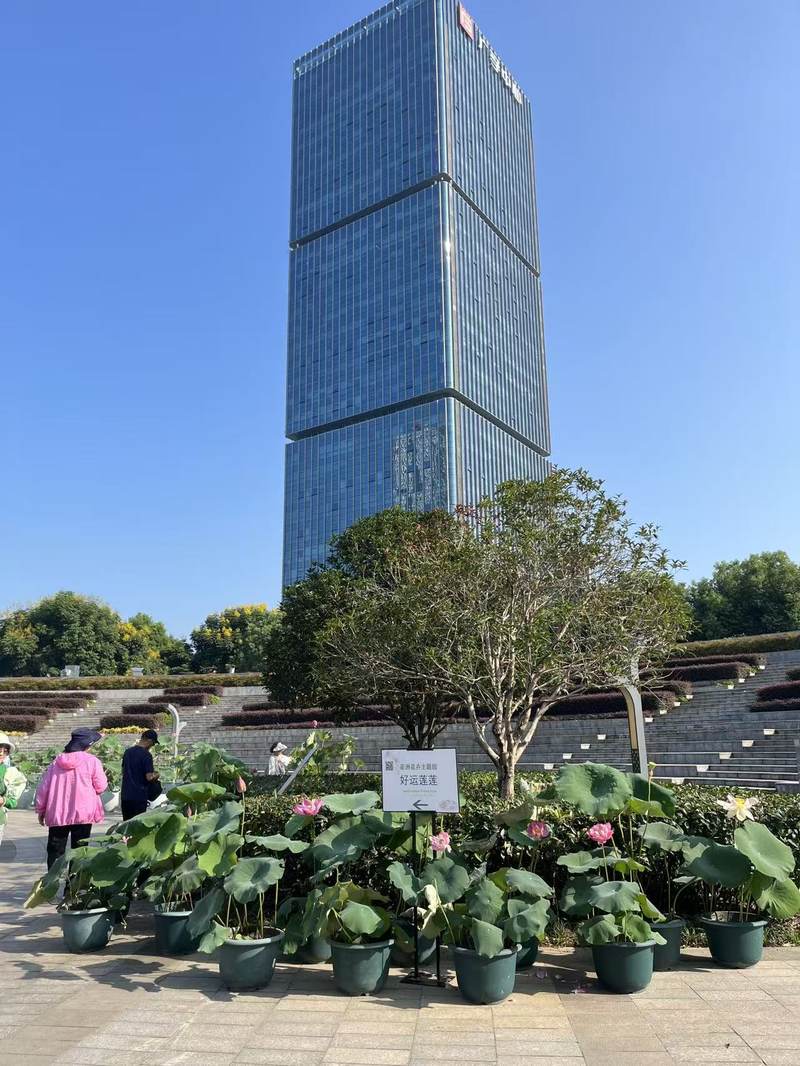 相册图片7