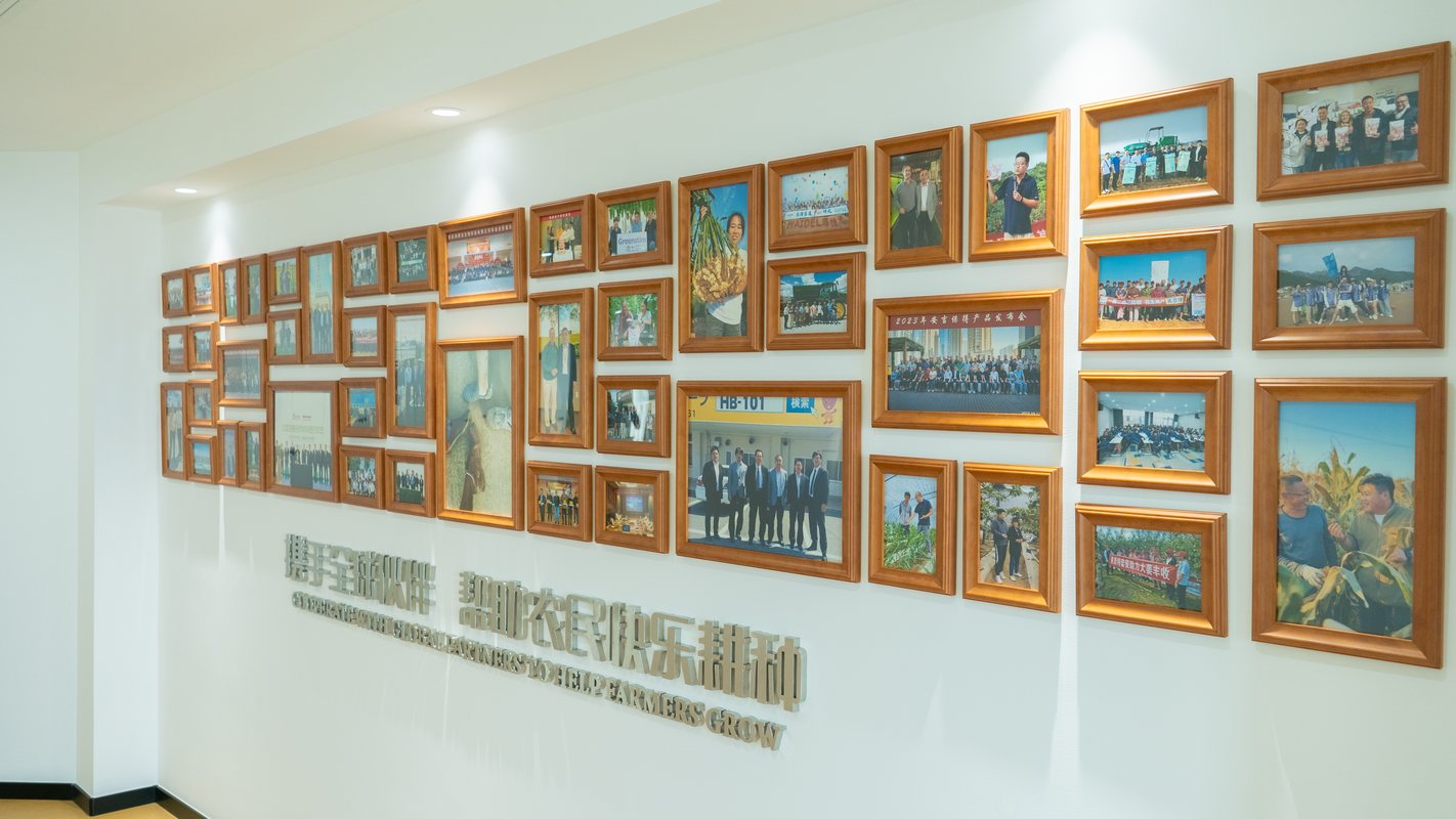 公司图片3