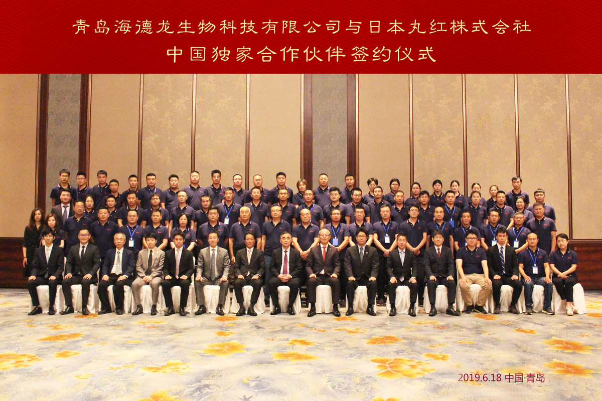 公司图片4