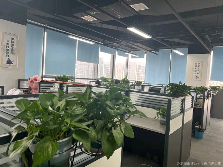 相册图片3