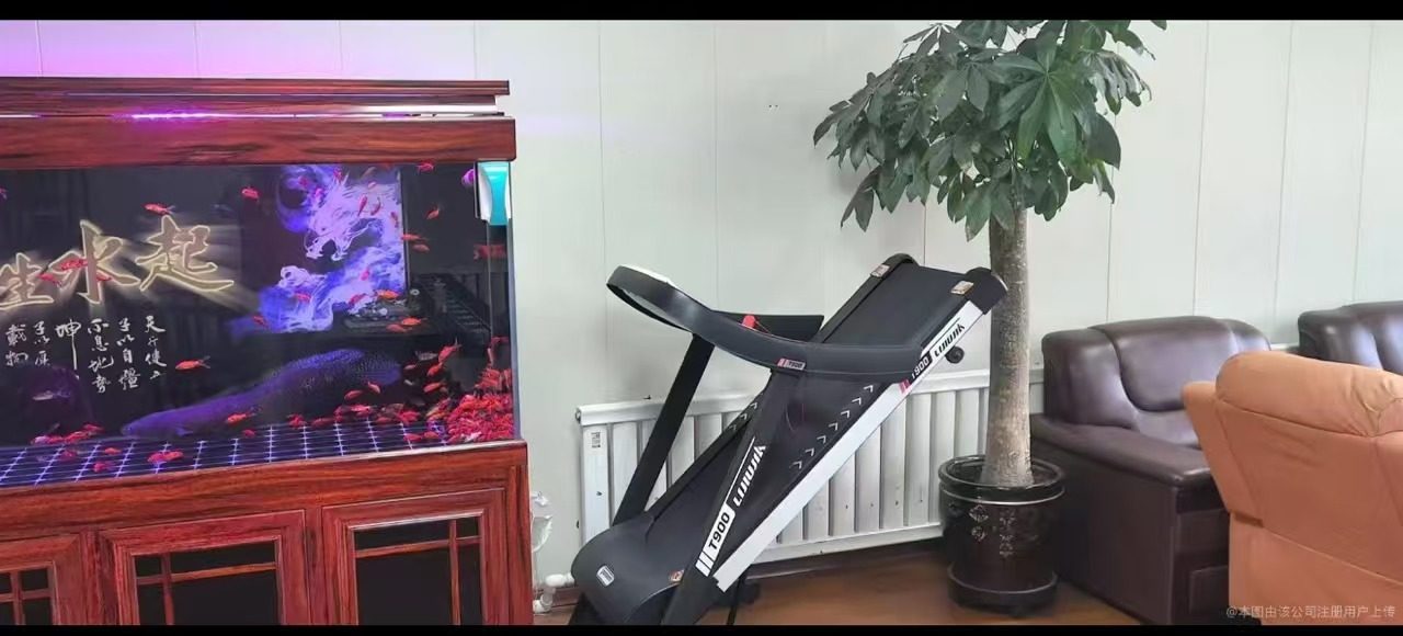 相册图片4