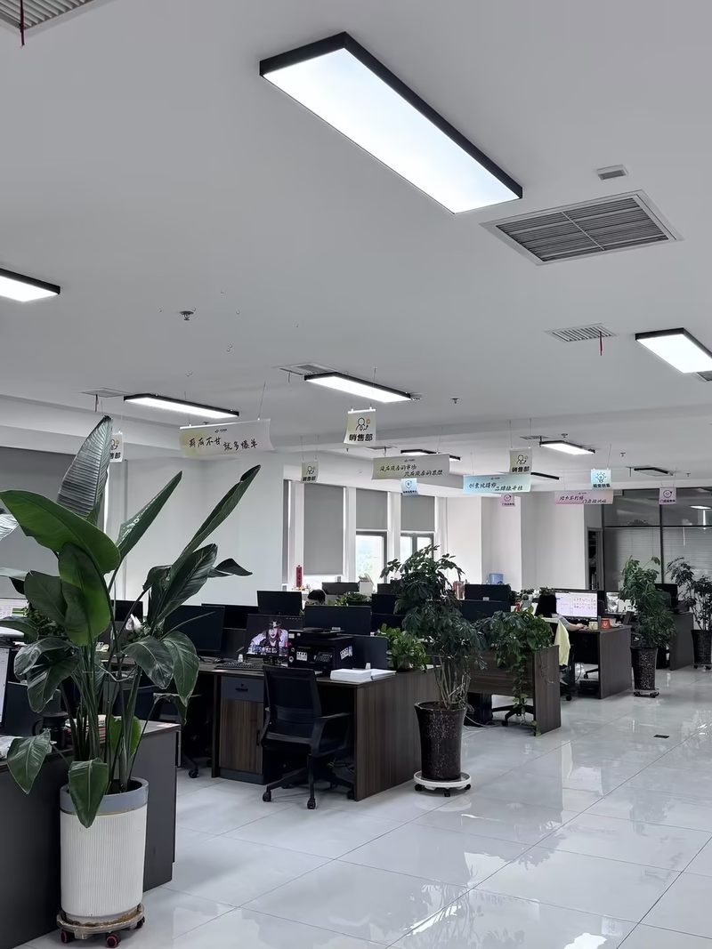 公司图片7