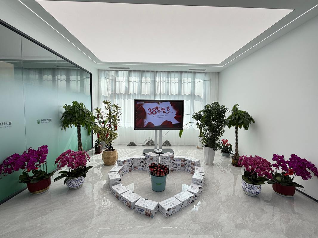 公司图片4