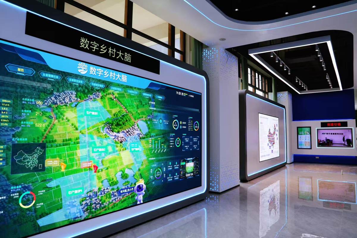 公司图片6