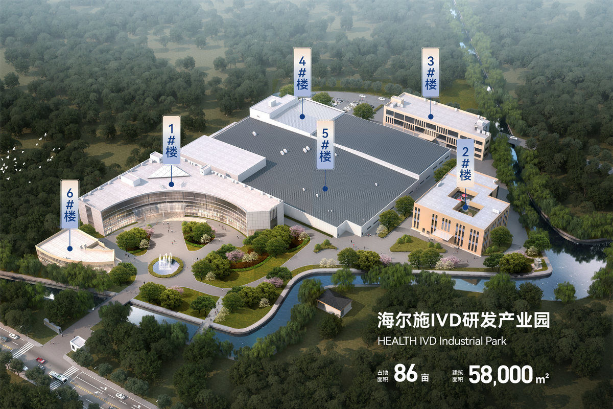 公司图片5