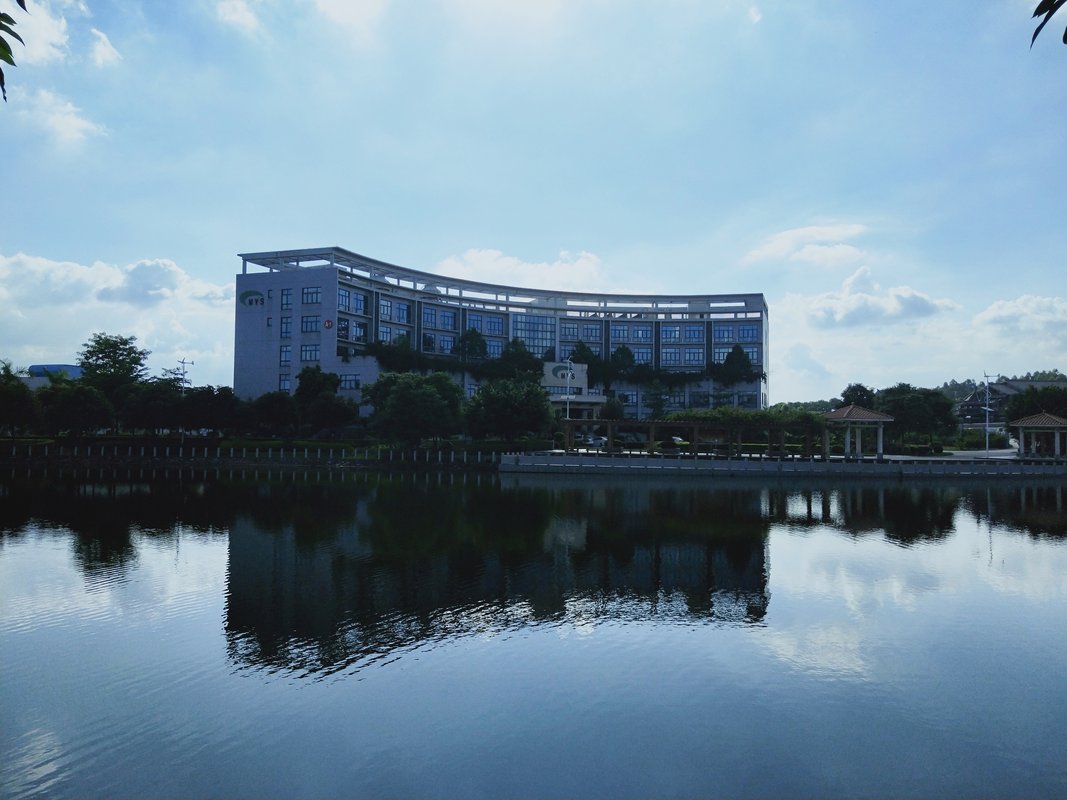 公司图片1