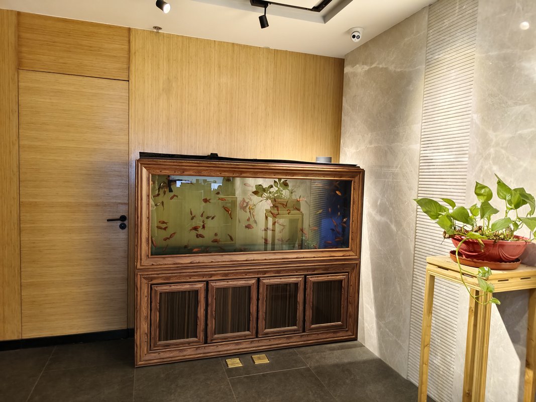 公司图片2
