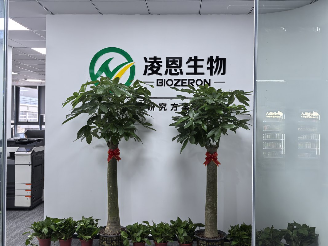 公司图片2