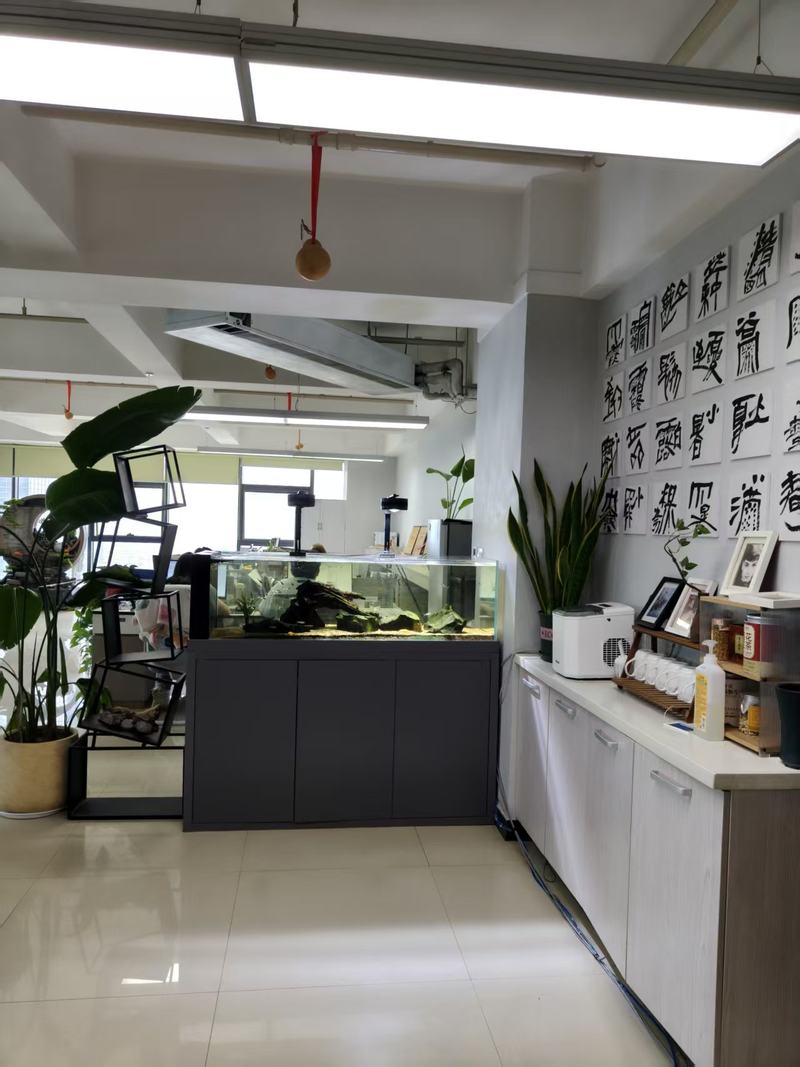 公司图片3