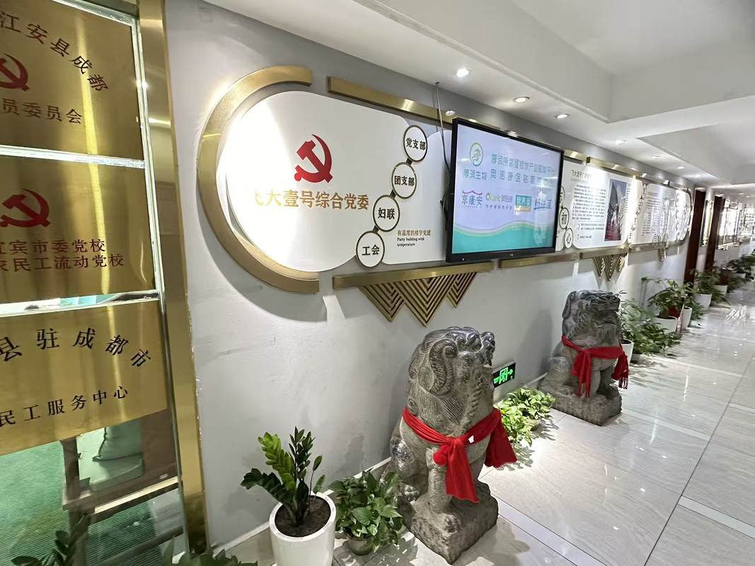 公司图片4