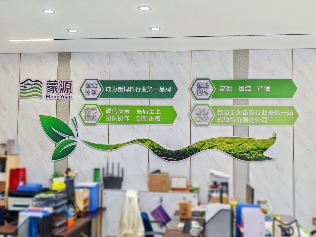 公司图片9