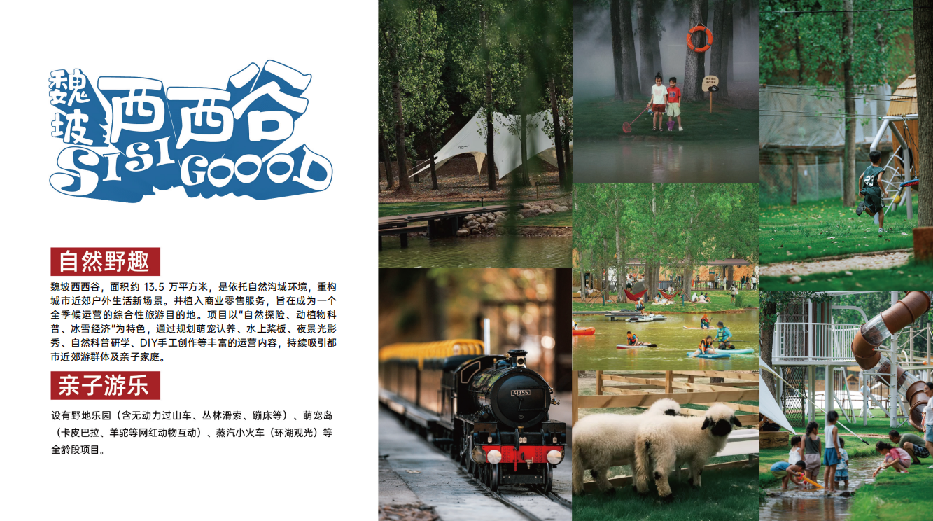 公司图片4