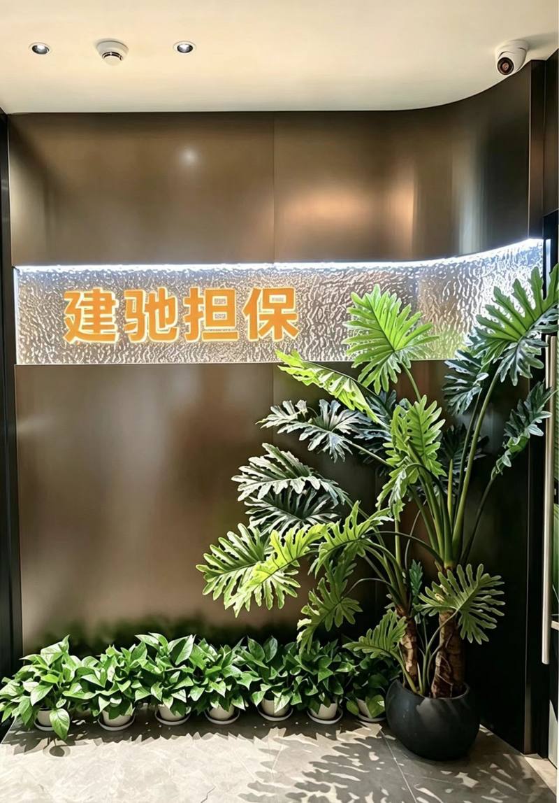 公司图片2