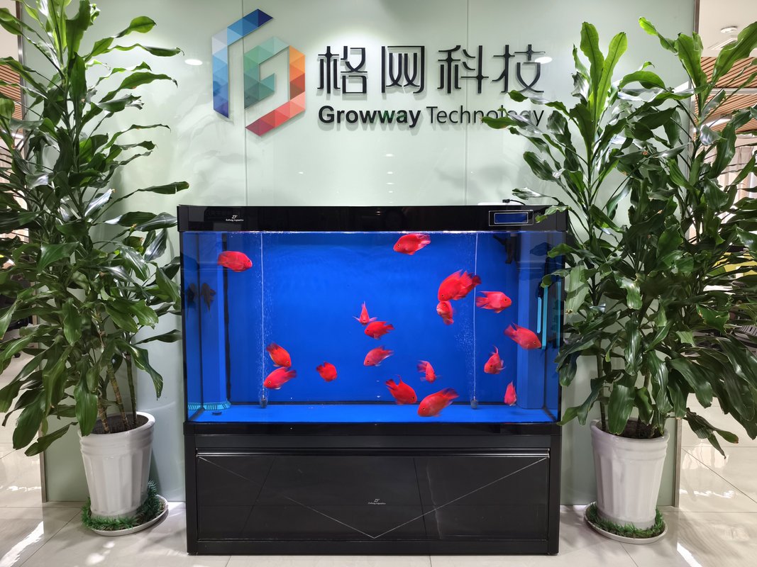 公司图片1