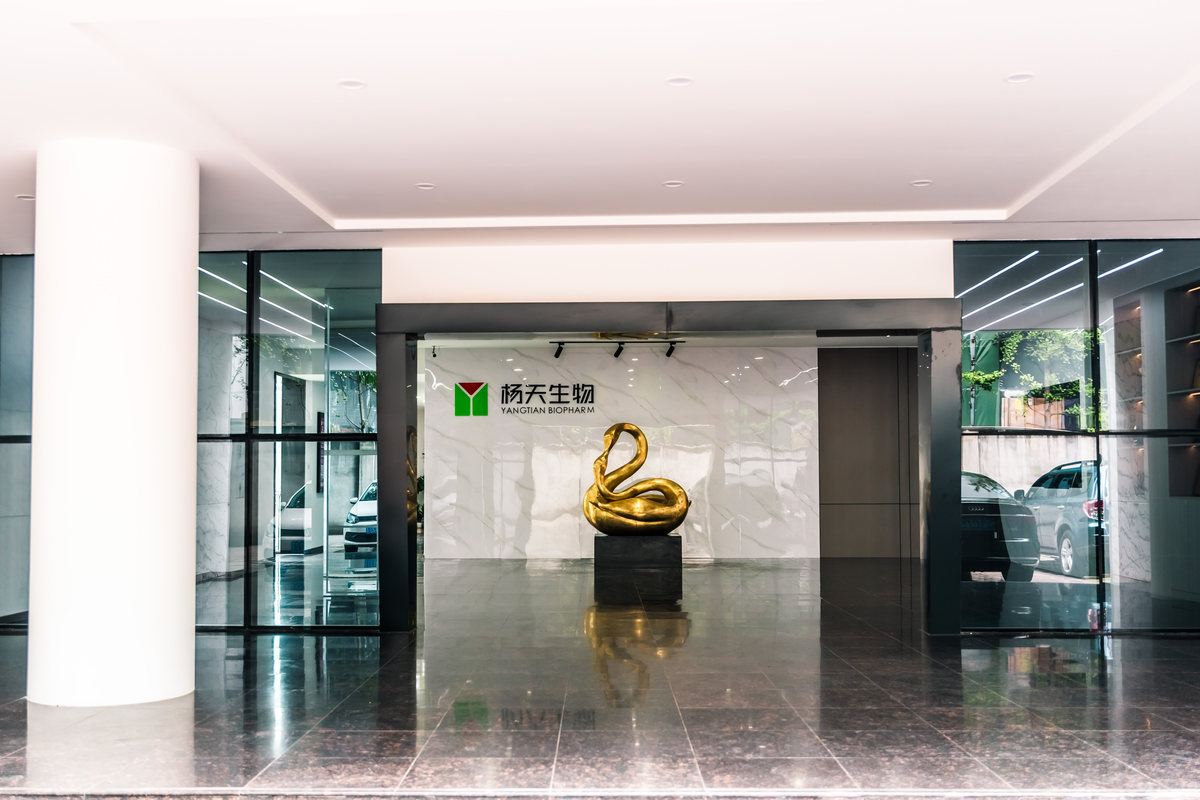 公司图片1