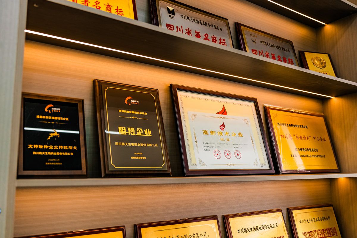 公司图片3
