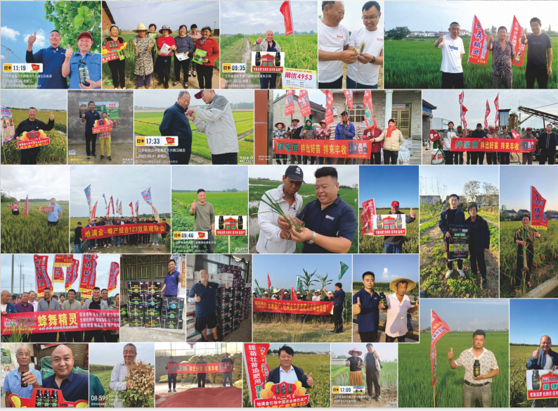 公司图片4