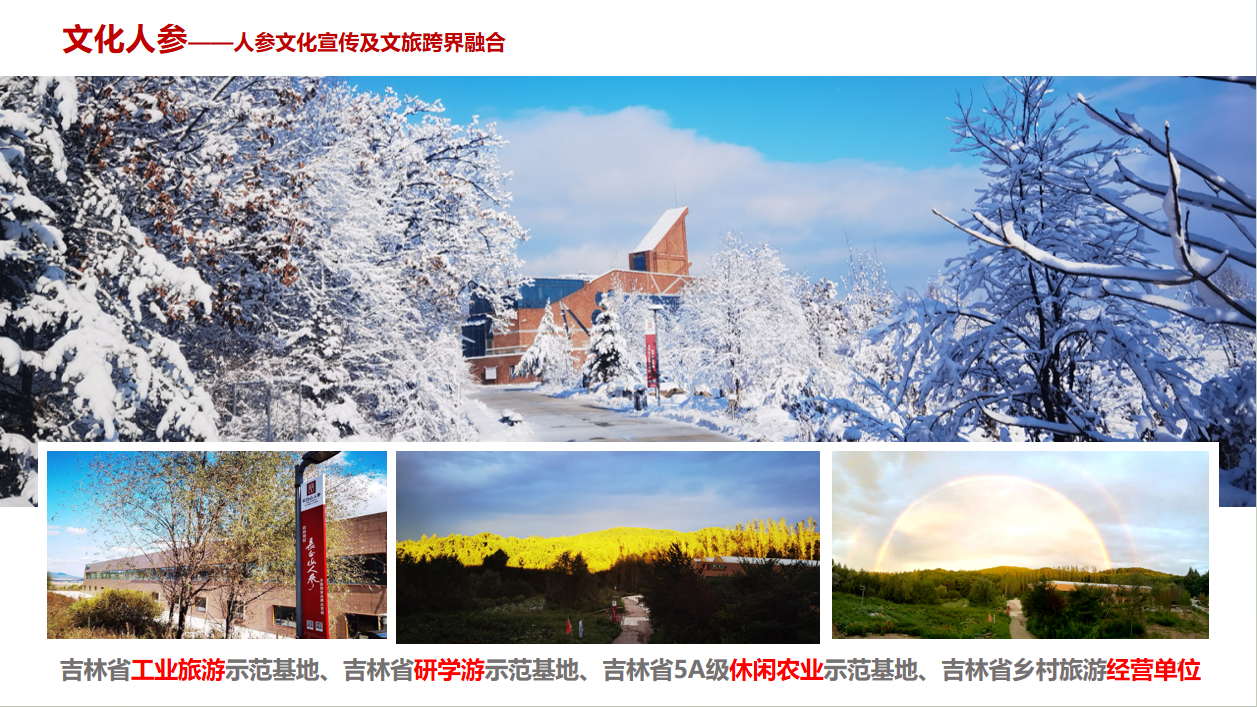 公司图片5