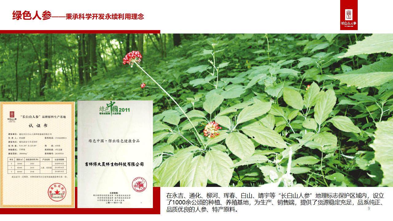 公司图片6