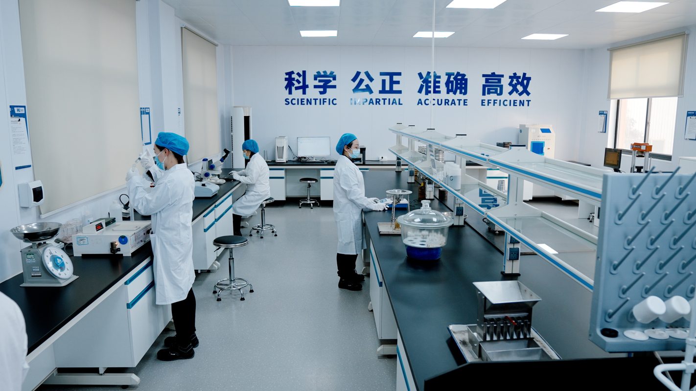 公司图片4