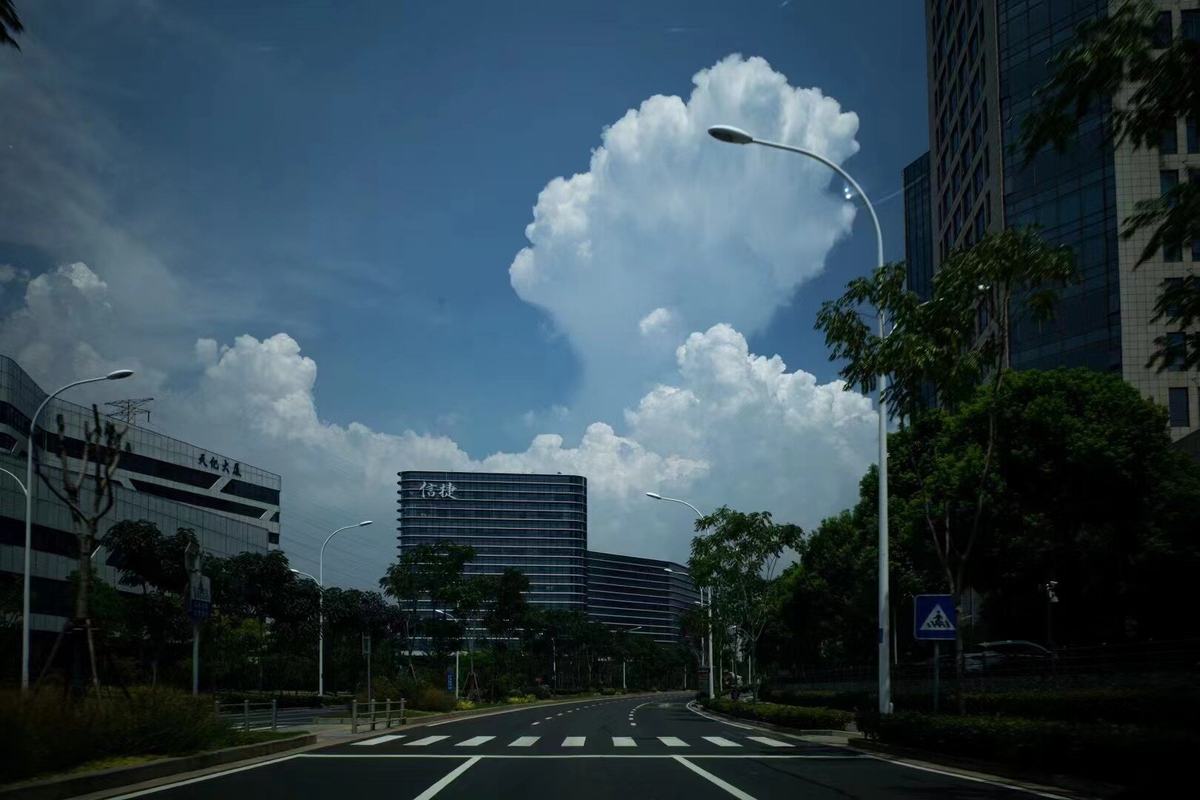 公司图片4