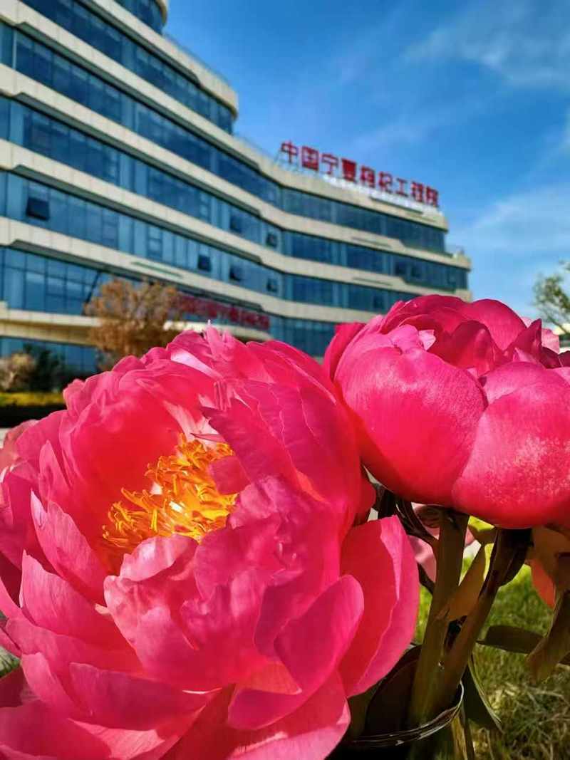公司图片3