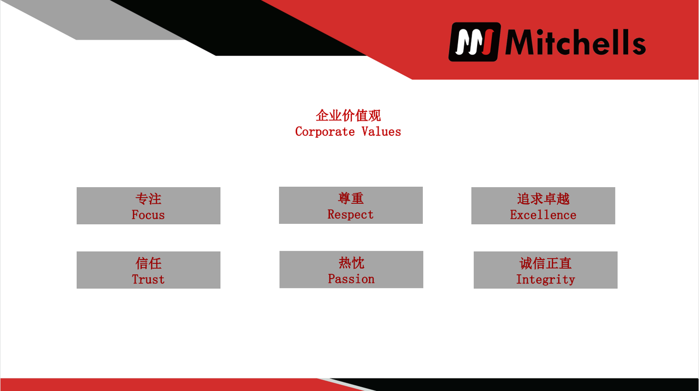 公司图片1