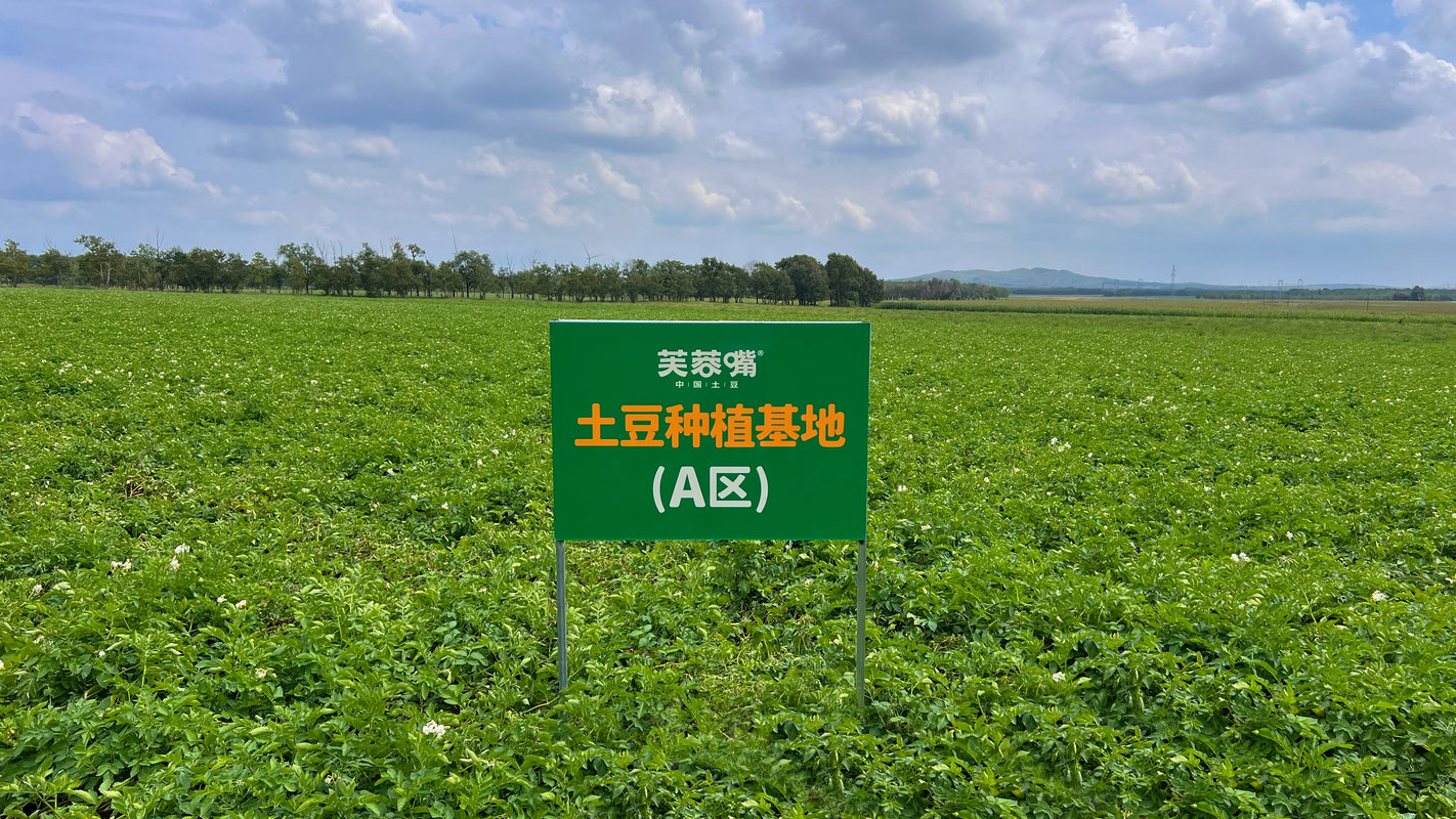 公司图片4